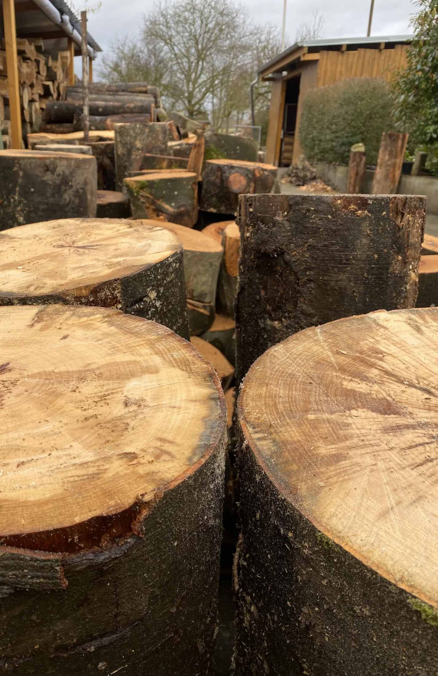Zugeschnittene Holzstücke auf einem regionalen Holzplatz